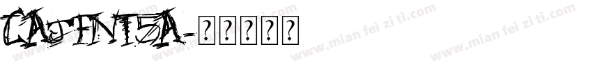 CAJ FNT5A字体转换